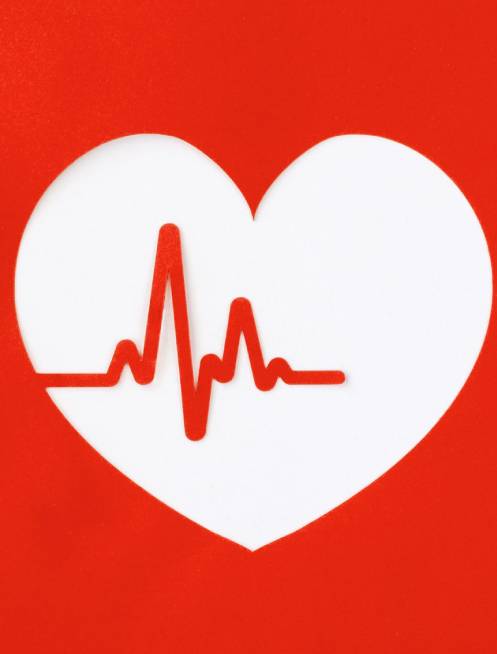 Biografía de [nombre]